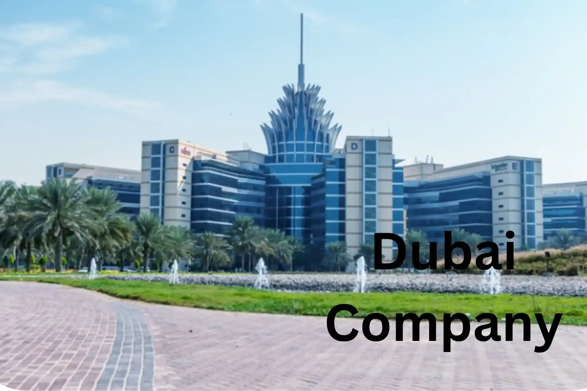 How to Access the Dubai Silicon Oasis Company List