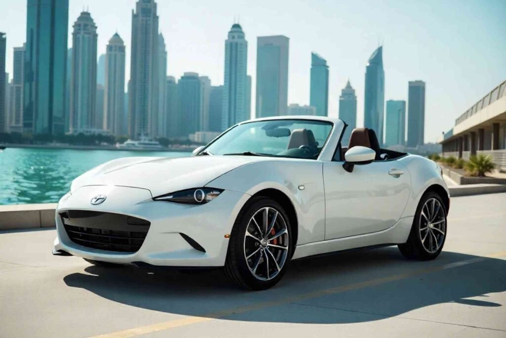 Why Would You Want to Rent a Private Car in Dubai