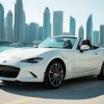 Why Would You Want to Rent a Private Car in Dubai