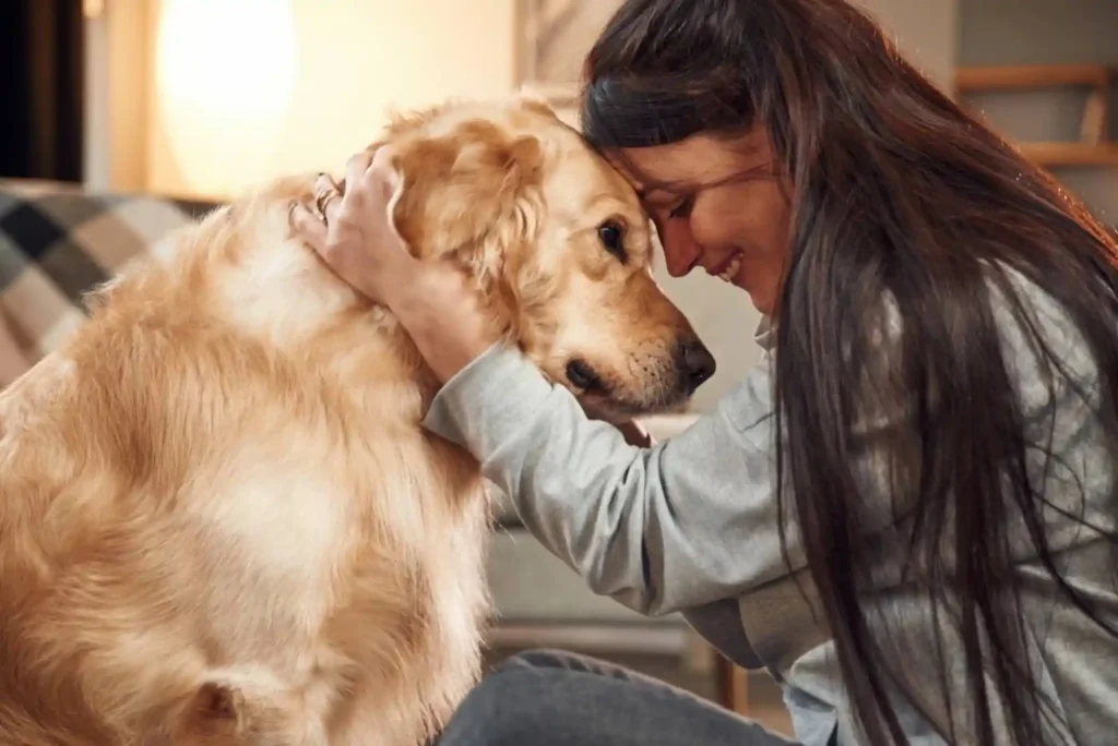 How to Desensitize Dogs to Fireworks and Thunderstorms: Sound Therapy & Thundershirts