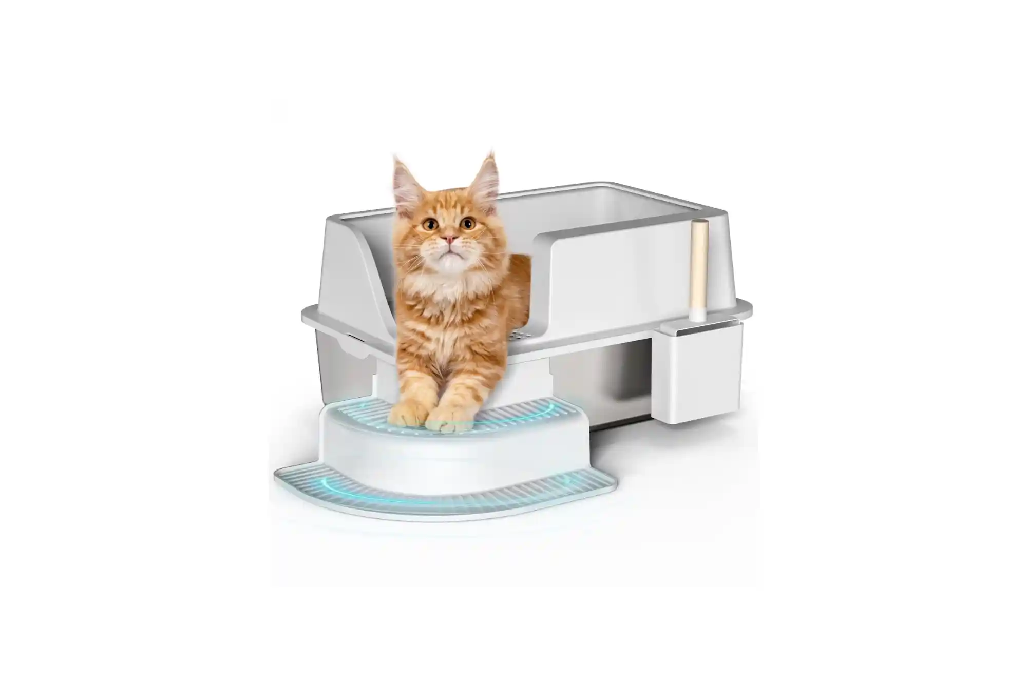 Best Top-Entry and High-Sided Litter Boxes for Cats That Kick Litter and High Pee-ers